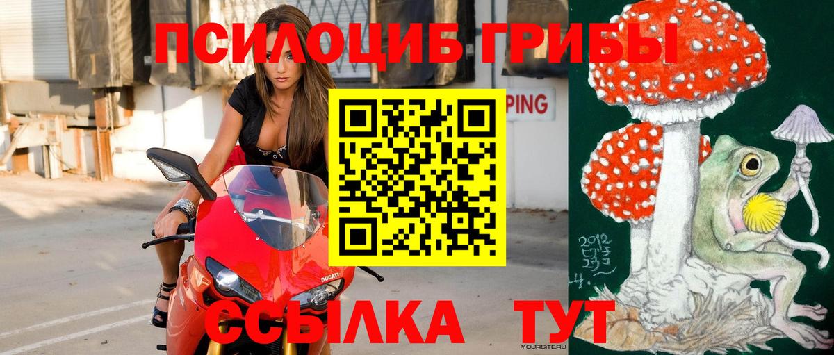 Галлюциногенные грибы GOLDEN TEACHER  Псилоцибиновые грибы ЛСД  наркотики  Шахты  Вход с VPN 